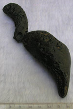 Click image to enlarge