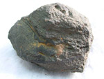 Click image to enlarge