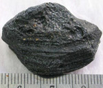 Click image to enlarge