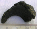Click image to enlarge
