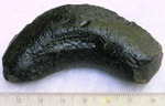 Click image to enlarge