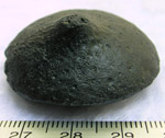 Click image to enlarge