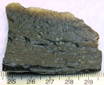 Click image to enlarge
